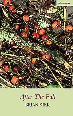 Brian Kirk - After the Fall, Häftad