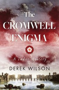 bokomslag The Cromwell Enigma
