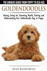 bokomslag Goldendoodles - The Owners Guide from Puppy to Old Age - Choosing, Caring for, Grooming, Health, Training and Understanding Your Goldendoodle Dog