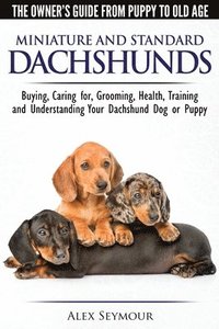 bokomslag Dachshunds - The Owner's Guide From Puppy To Old Age - Choosing, Caring for, Grooming, Health, Training and Understanding Your Standard or Miniature Dachshund Dog