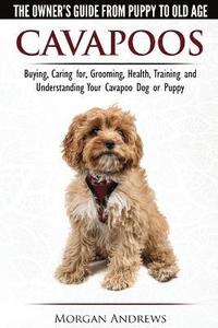 bokomslag Cavapoos - The Owner's Guide From Puppy To Old Age - Buying, Caring for, Grooming, Health, Training and Understanding Your Cavapoo Dog or Puppy