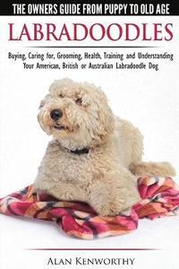 bokomslag Labradoodles - The Owners Guide from Puppy to Old Age for Your American, British or Australian Labradoodle Dog