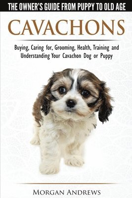 Cavachons - The Owner's Guide from Puppy to Old Age - Choosing, Caring for, Grooming, Health, Training and Understanding Your Cavachon Dog or Puppy 1