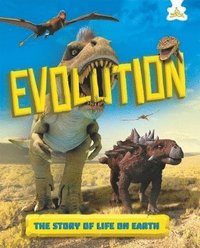 bokomslag Evolution