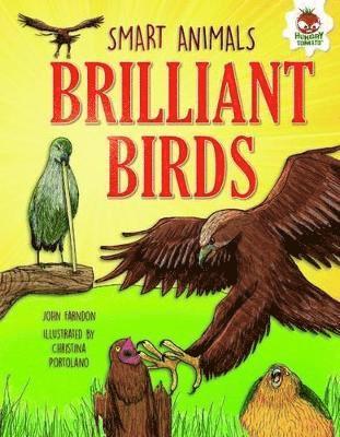 Brilliant Birds 1