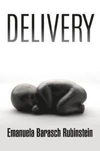 bokomslag Delivery