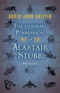 bokomslag The Unusual Possession of Alastair Stubb
