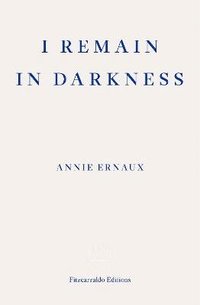 bokomslag I Remain in Darkness - WINNER OF THE 2022 NOBEL PRIZE IN LITERATURE