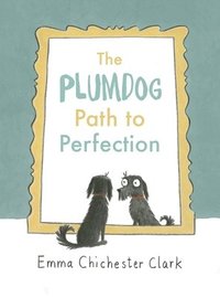 bokomslag The Plumdog Path to Perfection