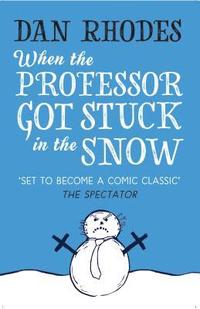 bokomslag When the Professor Got Stuck in the Snow