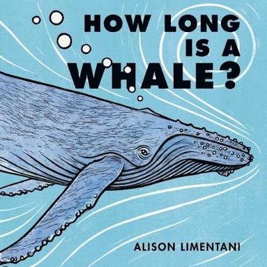 bokomslag How Long is a Whale?