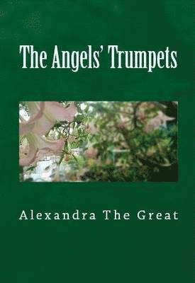 Angels' Trumpets