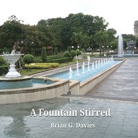 bokomslag A Fountain Stirred