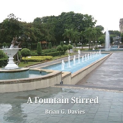 Brian G. Davies - Fountain Stirred, Häftad