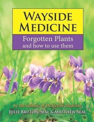 bokomslag Wayside Medicine