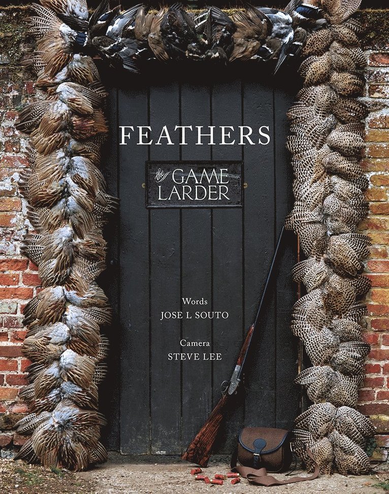 Jose Souto, Jose L. Souto, Jose L Souto - Feathers, Inbunden