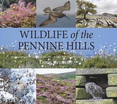 bokomslag Wildlife of the Pennine Hills