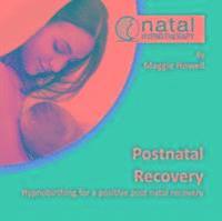 bokomslag Postnatal Recovery