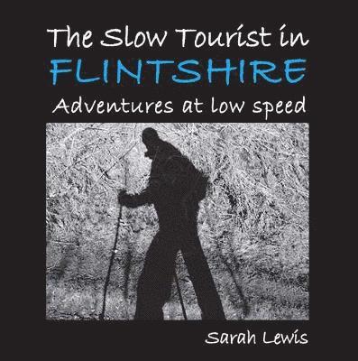 The Slow Tourist in Flintshir 1