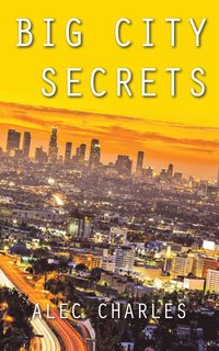 bokomslag Big City Secrets