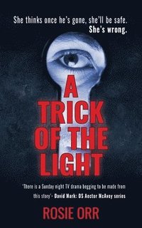 bokomslag Trick of the Light