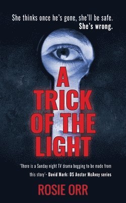 bokomslag Trick of the Light