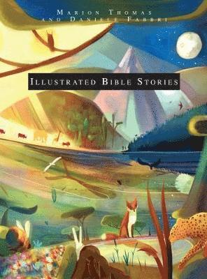 bokomslag Illustrated Bible Stories