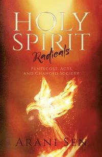 bokomslag Holy Spirit Radicals: Pentecost, Acts and Changed Society
