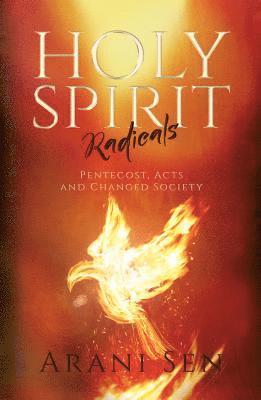 bokomslag Holy Spirit Radicals: Pentecost, Acts and Changed Society