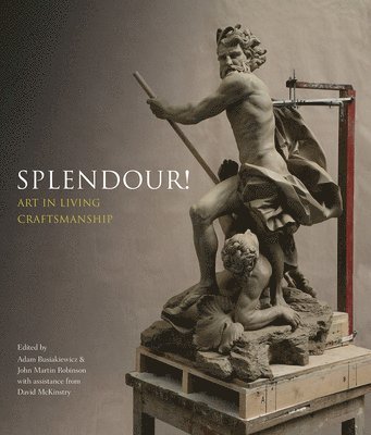 Adam Busiakiewicz, John Martin Robinson - Splendour!, Häftad