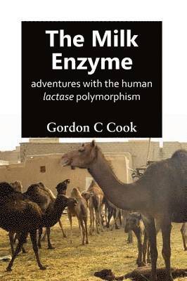 The Milk Enzyme 1