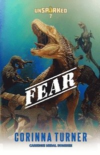 bokomslag Fear