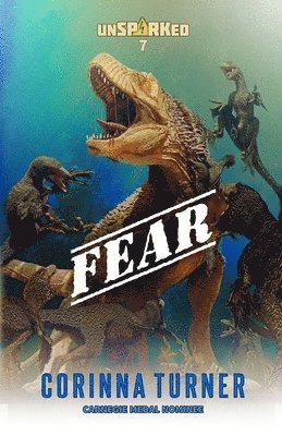 bokomslag Fear