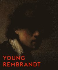 bokomslag Young Rembrandt