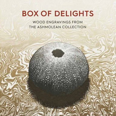 bokomslag Box of Delights