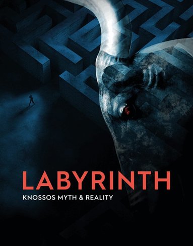 Andrew Shapland - Labyrinth, Häftad