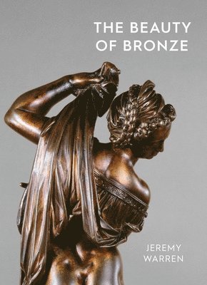 bokomslag The Beauty of Bronze