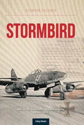 Stormbird 1
