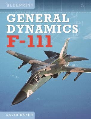 General Dynamics F-111 1