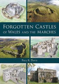 bokomslag Forgotten Castles of Wales and the Marches
