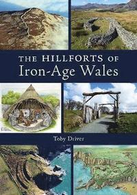 bokomslag The Hillforts of Iron Age Wales