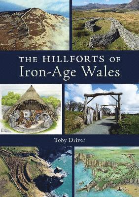 The Hillforts of Iron Age Wales 1