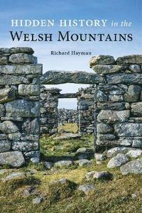 bokomslag Hidden History in the Welsh Mountains