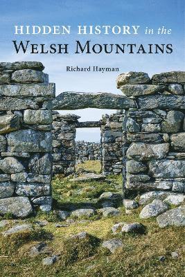 bokomslag Hidden History in the Welsh Mountains
