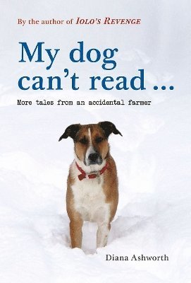 My dog can't read ... 1