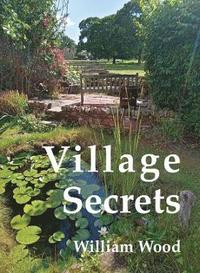 bokomslag Village Secrets