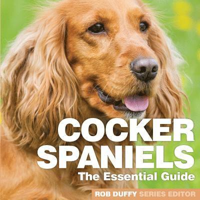 Cocker Spaniels 1