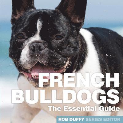 French Bulldogs 1