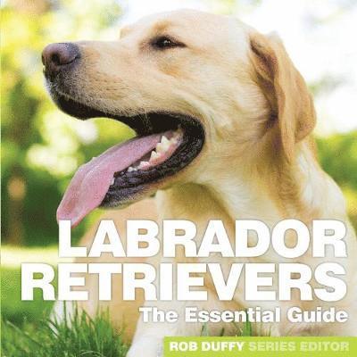Robert Duffy - Labrador Retrievers, Häftad