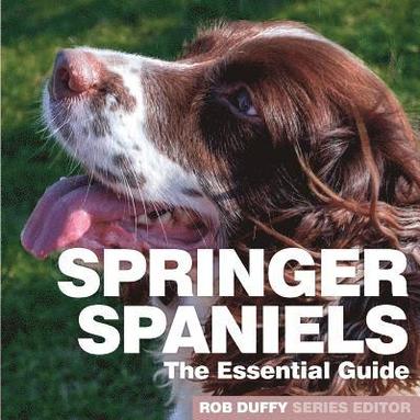 bokomslag Springer Spaniels